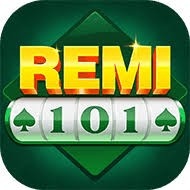 remi 101